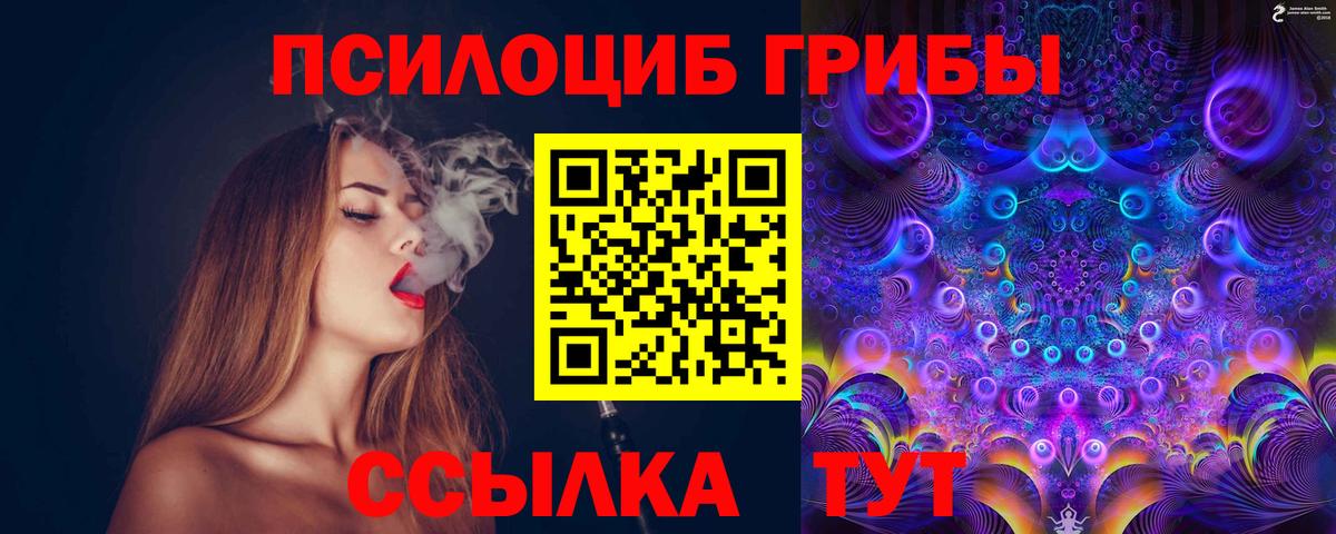 наркота  Псилоцибиновые грибы Cubensis  Вход с VPN  Бугульма 