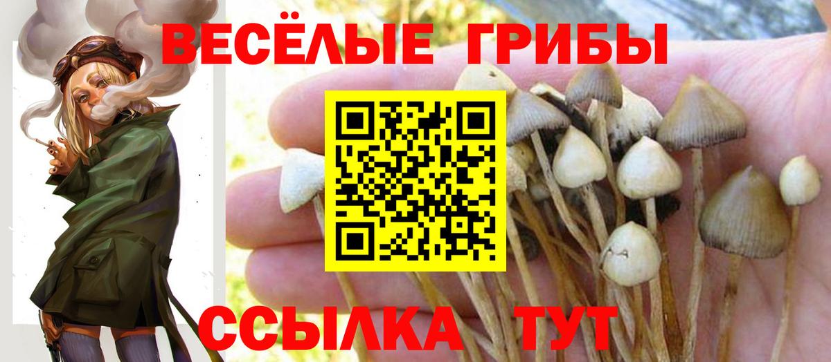 Псилоцибиновые грибы ЛСД Бугульма